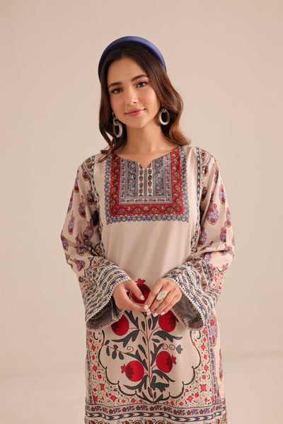 2 Piece Stitched  Printed Cotton Lawn Suit - Ready to Wear