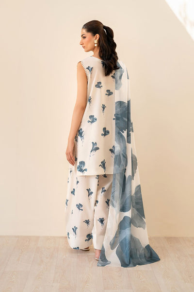 Luxury Winter Collection