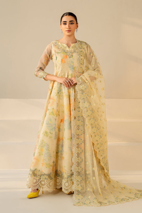 3 Piece Stitched Chiffon suit - Ready to  Wear