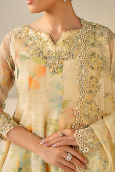 3 Piece Stitched Chiffon suit - Ready to  Wear