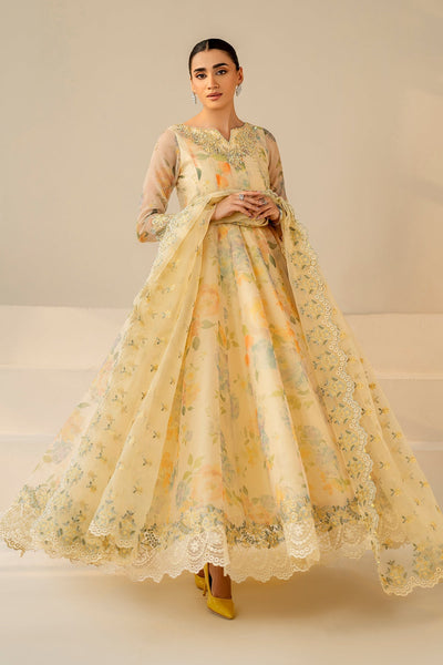 3 Piece Stitched Chiffon suit - Ready to  Wear