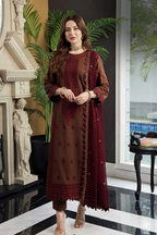 3  Piece Stitched  Dhanak suit - Ready to Wear