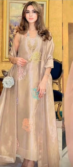 3 Piece Stitched Organza Dress - Ready To Wear