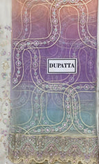 3 Piece Stitched Chiffon Embroidery Dress - Ready To Wear