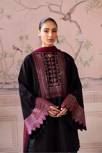 3 Piece Stitched Embroidered Dhanak Dress - Ready To Wear