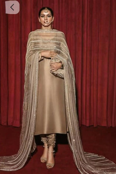 3 Piece Stitched Chiffon Dress - Ready To Wear