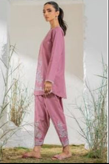 2 PC Stitched Embroidered Suit - Ready to Wear