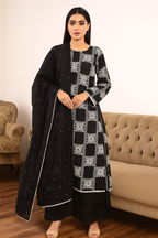 3 Piece Stitched Chikankari - Ready To Wear